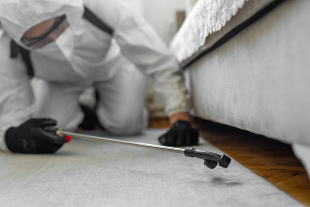 Professional Bed Bug Control technician working in Emporia, KS