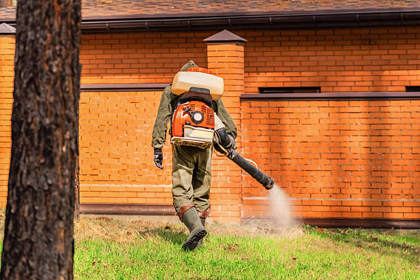 Trusted Cockroach Control service in Emporia, KS - Nex Pest Control